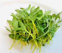 Yellow Chard Seeds