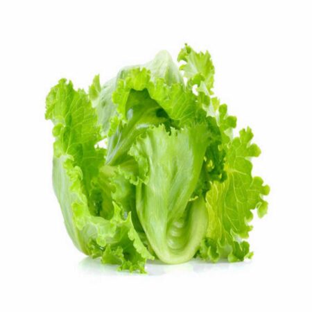 Lettuce Iceberg