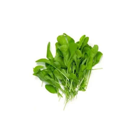 Spinach Seeds