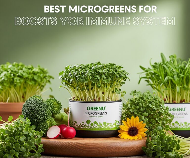 Best microgreens for immune system