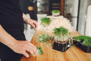 best microgreens for nutrition