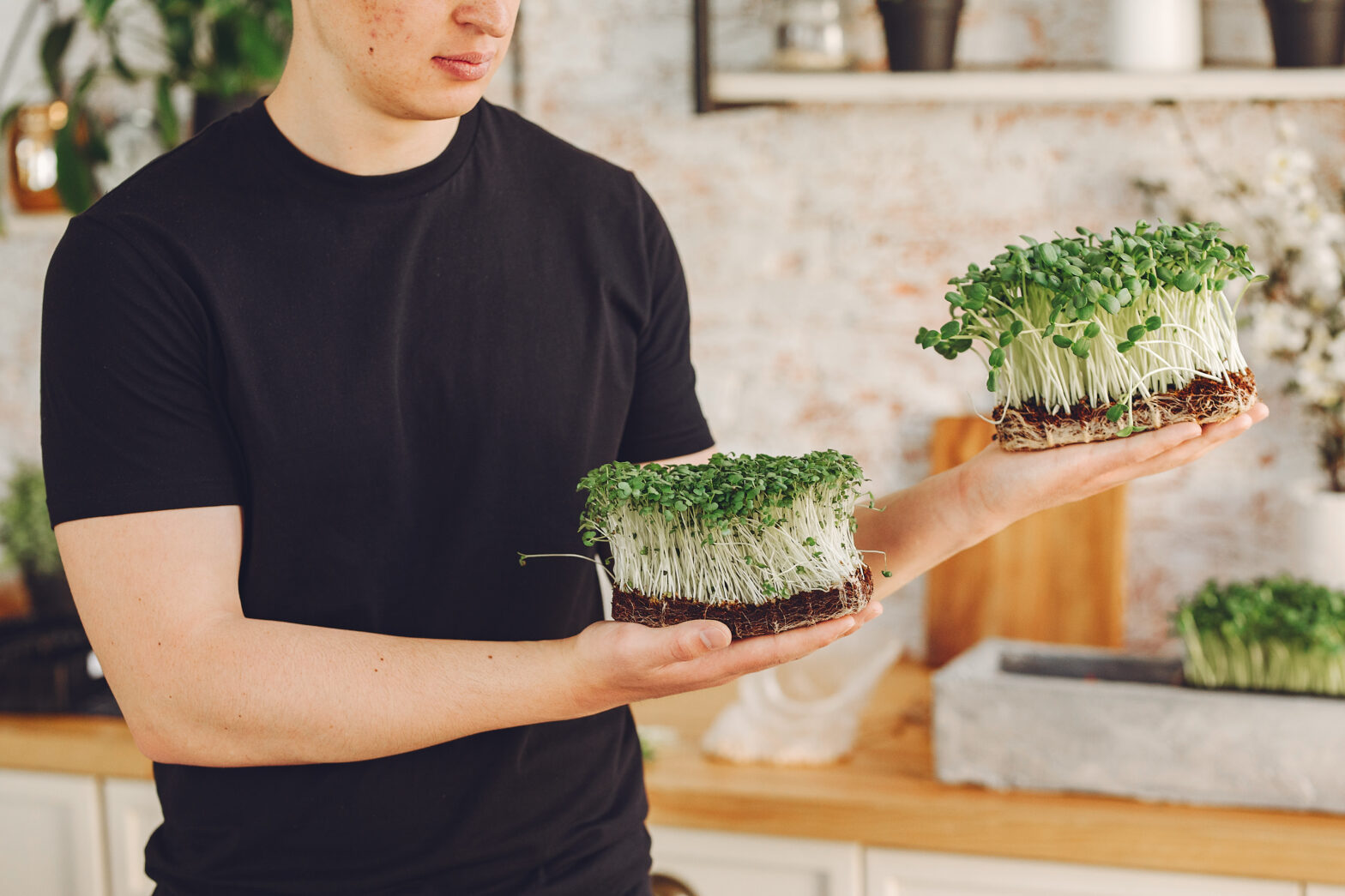 How to grow microgreens
