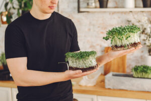 How to grow microgreens