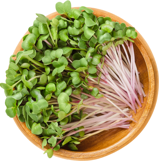 Microgreens