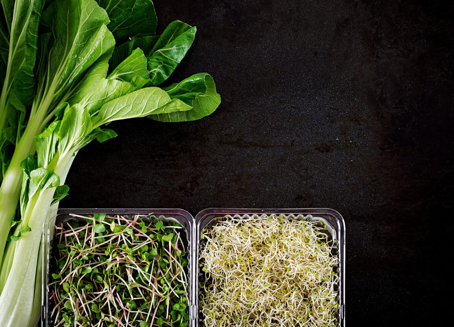 Broccoli Microgreens