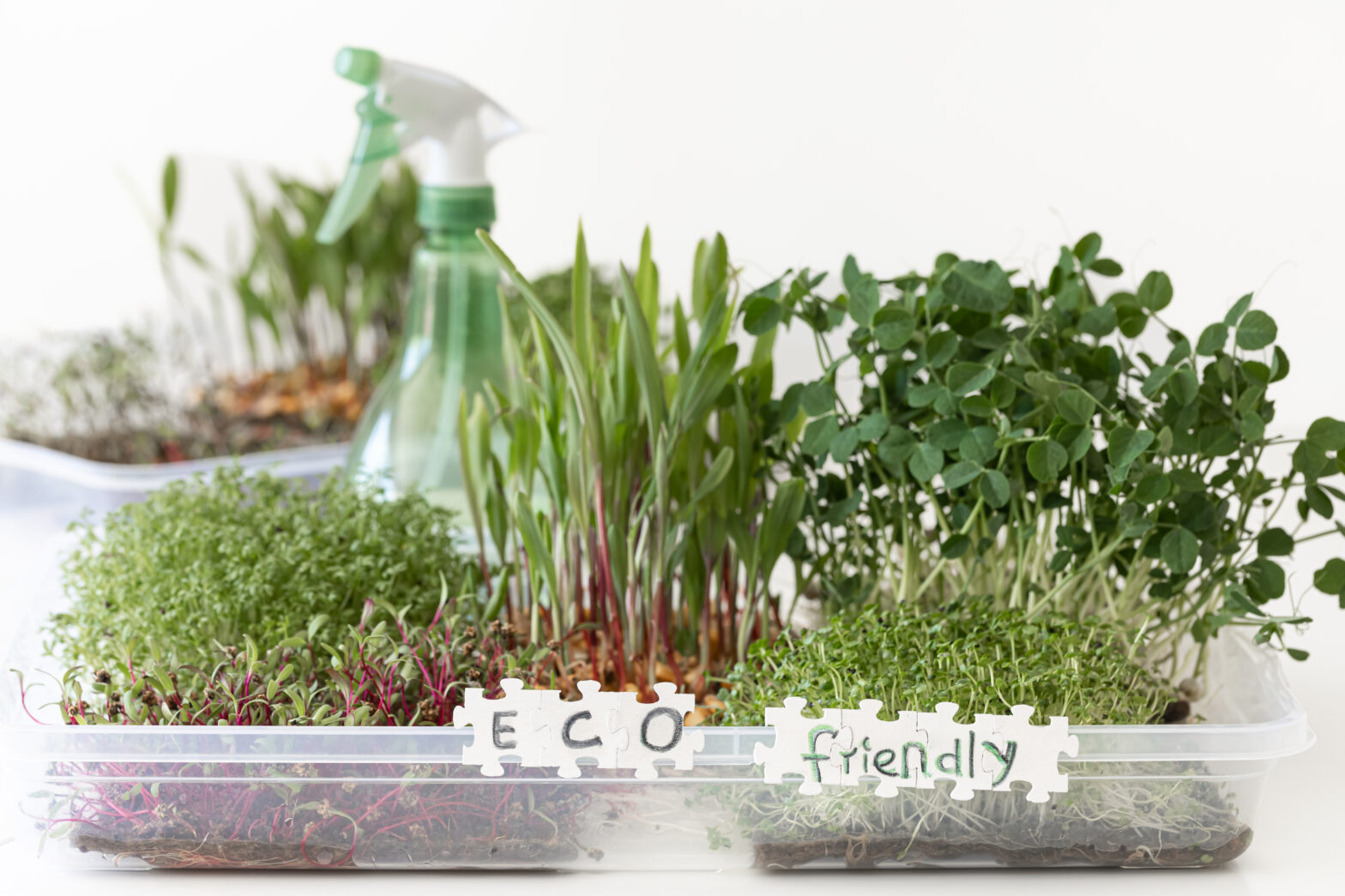 Hydroponic Microgreens | Grow Fresh Healthy Greens at Home