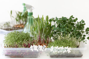 Hydroponic Microgreens | Grow Fresh Healthy Greens at Home