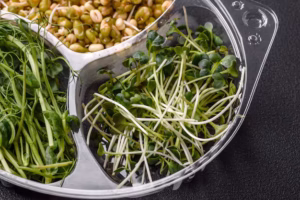 Pea Shoot Microgreens Benefits