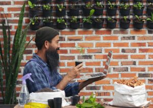 microgreens business plan