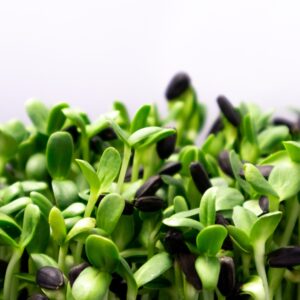 Microgreens Cancer Benefits and Their Role in Better Health