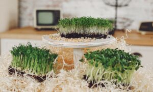 Antioxidants in Microgreens