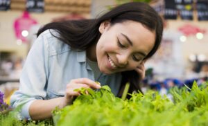 Microgreens Growing Kits Online