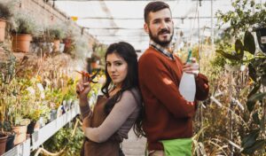 Organic Microgreens Seeds India