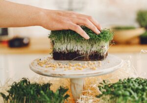 Healthy Microgreens for Daily Nutrition