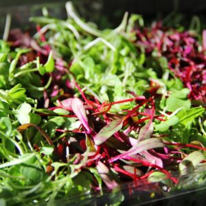 Microgreens benefits